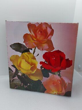 Vintage Square Biscuit Decorative 9" Tin Box Rose Floral Design